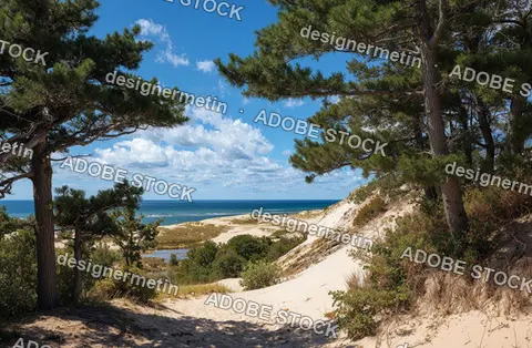 Scenic Sand Dunes And Ocean View Under Bright Blue Sky On Hot Summer Day In Provincetown
