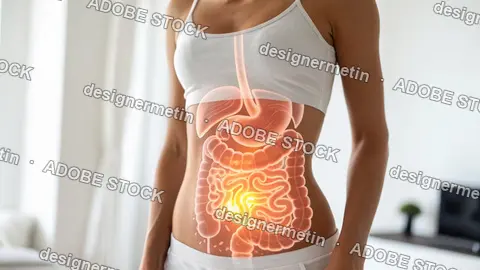 Anatomy Illustration Showing Digestive System Inside Female Body Including Stomach Liver And Intestines Glowing Brightly