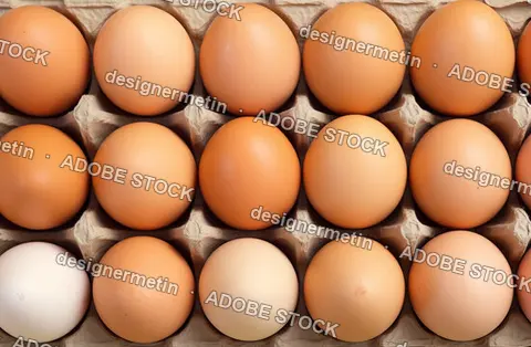Fresh Raw Organic Chicken Eggs In A Paper Cardboard Tray Top View For Healthy Breakfast Nutrition Cooking