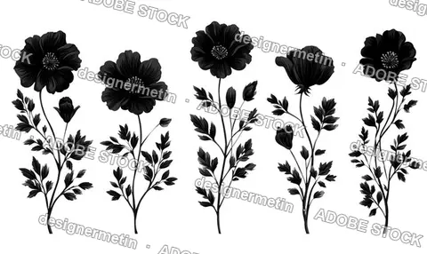 Black Floral Botanical Illustration Set With Detailed Flowers And Leaves Isolated Transparent Background, Png