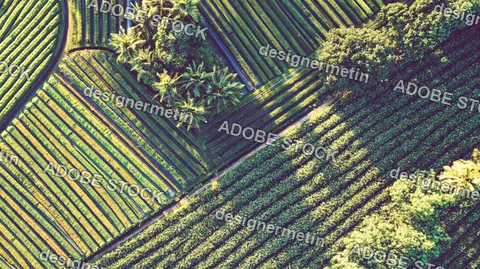 Aerial View Of Regenerative Agriculture Patterns Shaping Sustainable Tropical Farmland