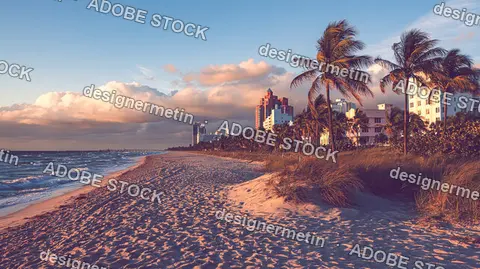 Miami Beach Shoreline Palm Trees Cityscape Sunset