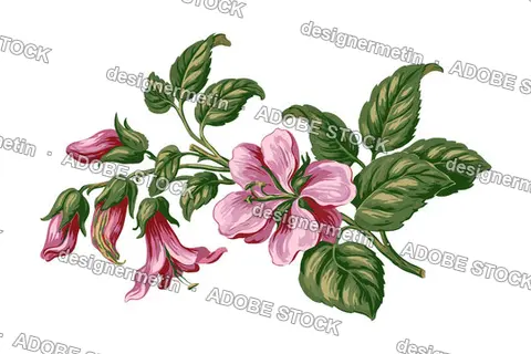Vintage Pink Floral Branch Blooming, Isolated On Transparent Background, Png