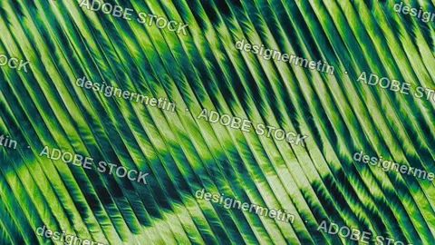 Green Flowing Fur Texture Pattern With Wavy Stripes Abstract Video