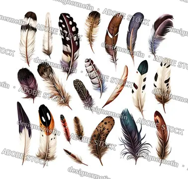 A Collection Of Feathers With Different Colors Design On Isolated White Background Created With Generative AI Technology